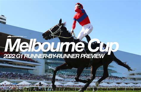 melbourne cup odda|melbourne cup market 2022.